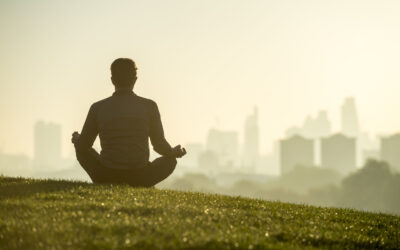 Dissemination before evidence? What are the driving forces behind the dissemination of mindfulness-based interventions?