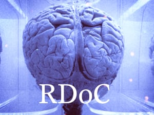 The Promise of the Research Domain Criteria (RDoC) Initiative